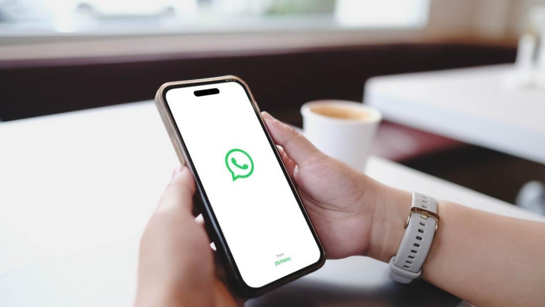 WhatsApp Plus Dikabarkan Hadir Dengan Kustomisasi Tampilan Dan Chat