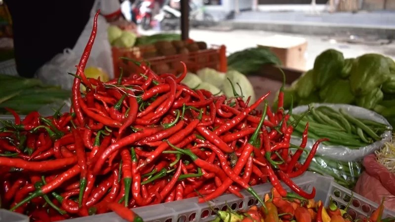 Harga Sembako Jogja Hari Ini,Jumat 20 Februari 2026 Terbaru