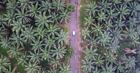 Pertumbuhan Kuat Dorong MKTR Optimistis Capai Rp1,2 Triliun