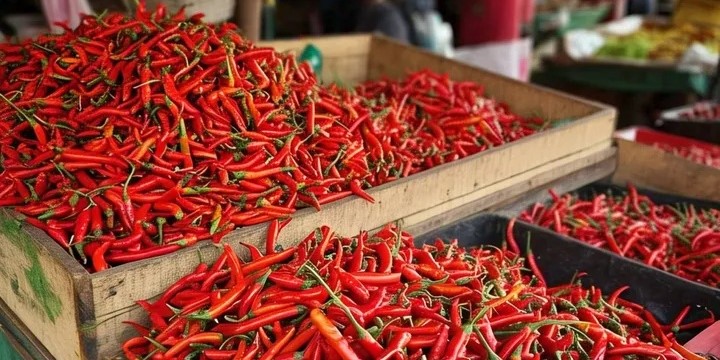 Harga Pangan Nasional Naik Turun, Cabai Merah Catat Kenaikan Tertinggi
