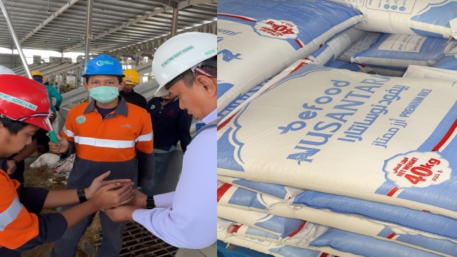Ekspor Perdana 2.280 Ton Beras Indonesia ke Arab Saudi Disambut Antusias Jemaah Haji dan Umrah