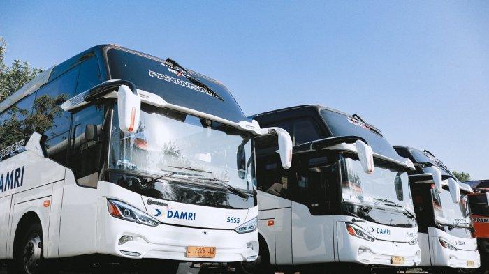 Damri Tawarkan Diskon 10 Persen untuk Tiket Mudik Lebaran 2025