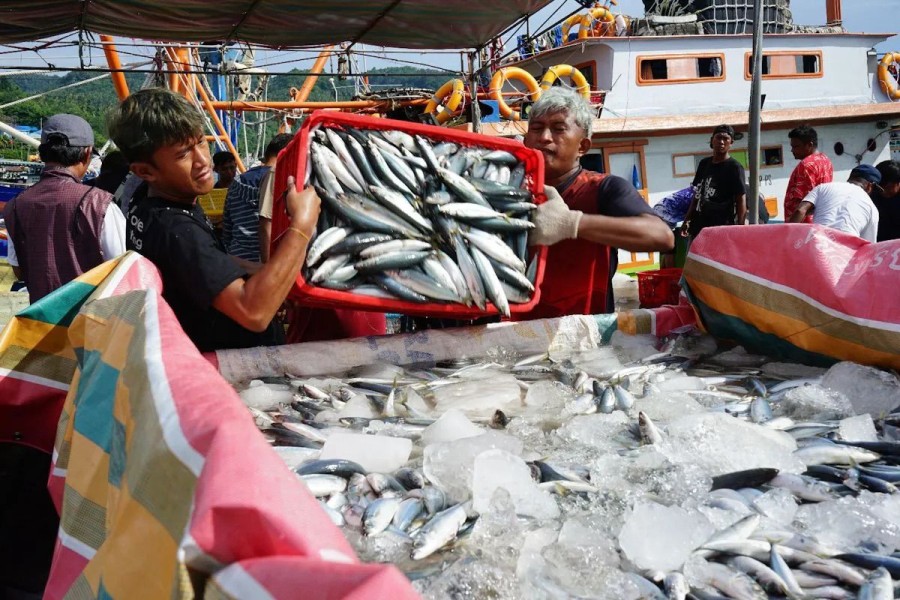 KKP Tingkatkan Standar Penangkapan Ikan Demi Saingi Pasar Global