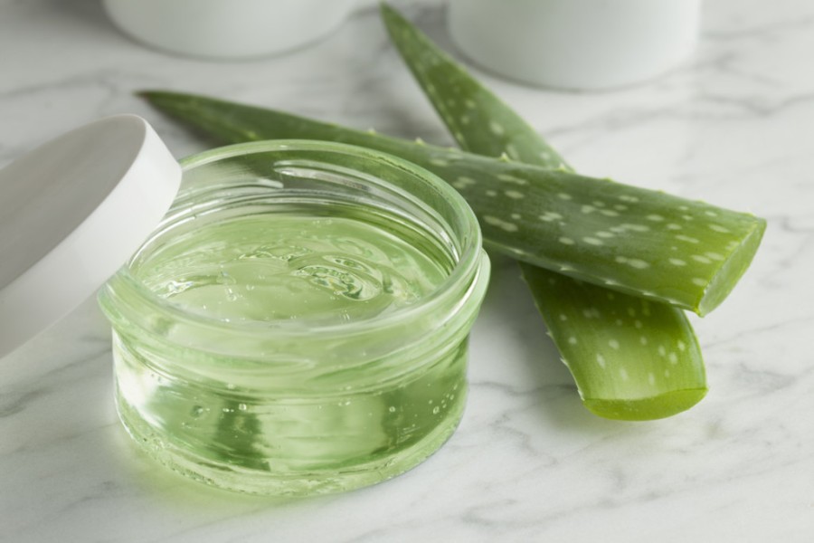 Rahasia Kesehatan dari Aloe Vera