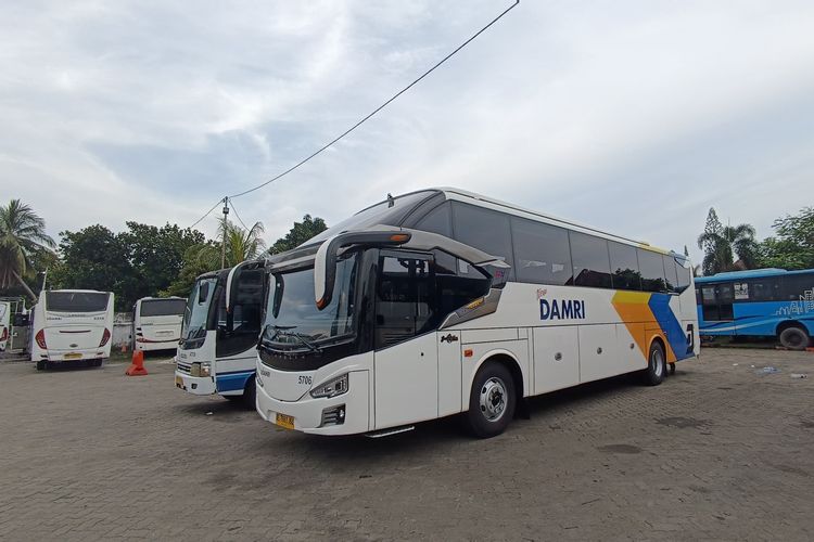 Momen 11.11, Damri Hadirkan Promo Spesial Tiket Bus AKAP Terbaru