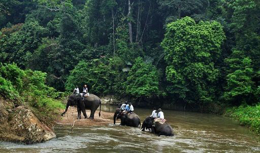 Eksplorasi Wisata Edukatif di Taman Nasional Bukit Barisan Selatan