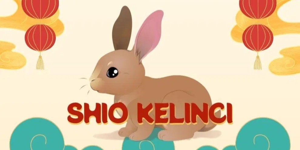 Keuangan Shio Kelinci Tahun 2026 Cuan Stabil Jika Adaptif
