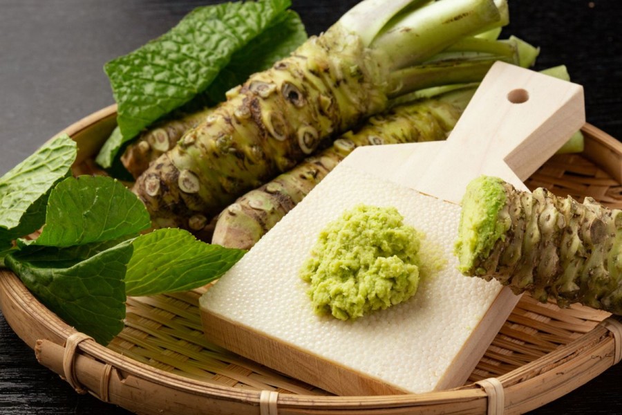 Apa Itu Wasabi: Manfaat, Bahan Dasar, dan Cara Membuatnya