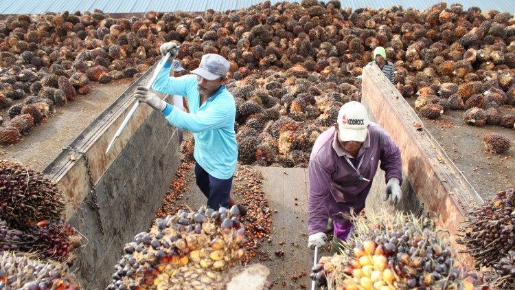 Industri Sawit Nasional Diprediksi Lebih Tangguh Lewat Penguatan Hulu Berkelanjutan