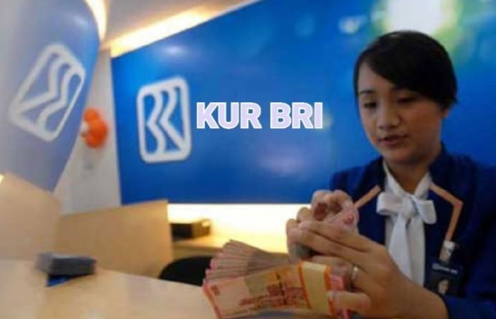 KUR BRI 2025 Bantu UMKM Dapat Modal Usaha Mudah