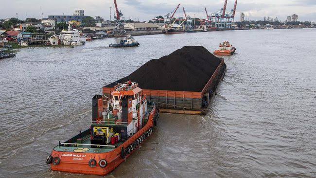 Harga Batu Bara Turun Lima Hari Meski Ada Kabar Positif