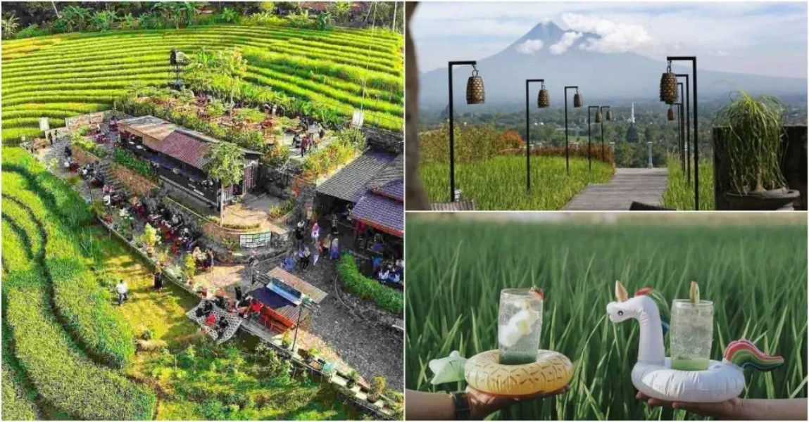 Tempat Makan View Sawah Terbaik di Bantul 2025