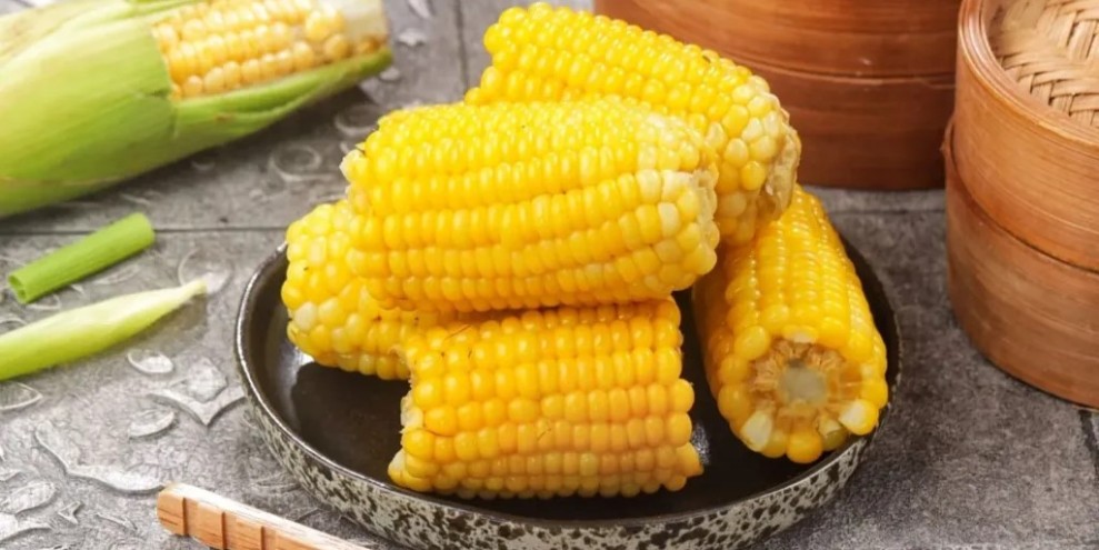 Manfaat Jagung Untuk Kesehatan Jantung dan Tubuh Sehat