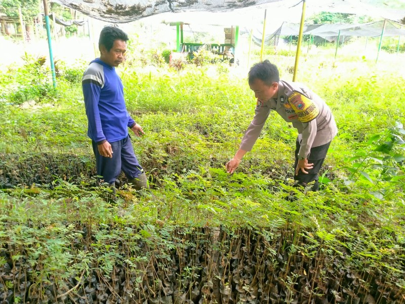 Polres Madiun Dukung Ketahanan Pangan Nasional, Bhabinkamtibmas Sobrah Aktif Dampingi Petani Kacang