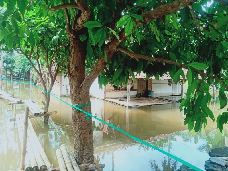 PLN UID Banten Wujudkan PLN Peduli dengan Bantuan untuk Warga Terdampak Banjir