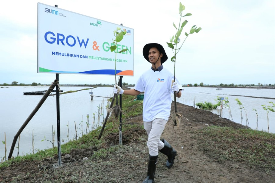 BRI Menanam: Inisiatif 'Grow & Green' Dorong Kesadaran Pelestarian Ekosistem Laut