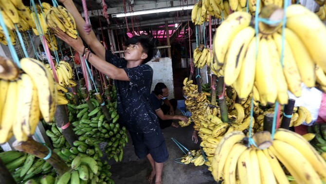 Permintaan Bahan Dasar Kolak Pisang Di Pasar Cilegon Mengalami Peningkatan Pesat