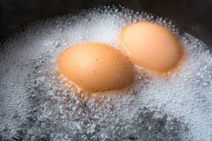 Rahasia Garam di Air Mendidih Untuk Telur Rebus Sempurna