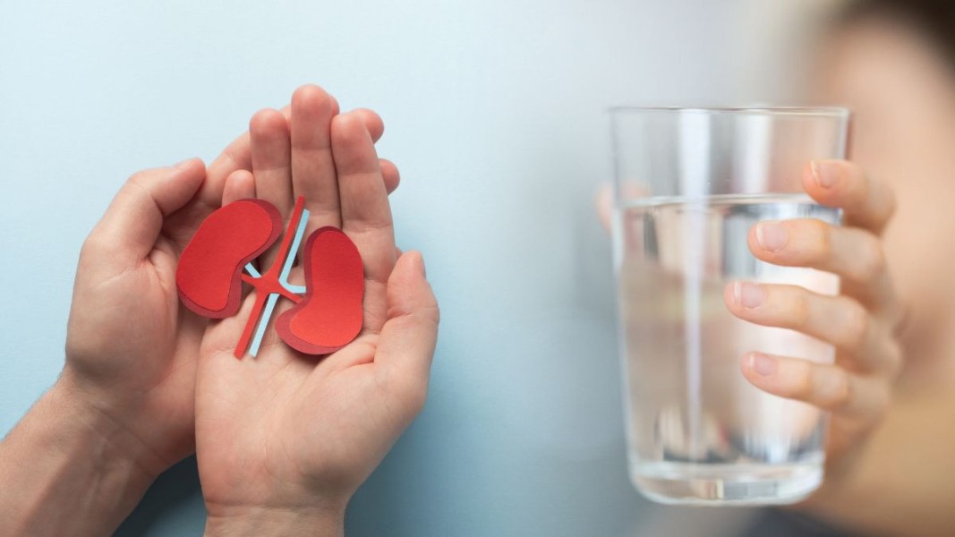 Minum Air Cukup Membantu Menjaga Kesehatan Ginjal Secara Alami dan Efektif