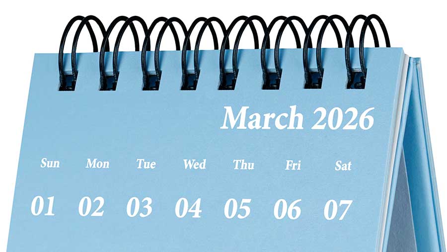 Cuti Bersama Nyepi 2026 Jatuh 18 Maret, Ini Rangkaian Libur Panjang hingga Idul Fitri 2026