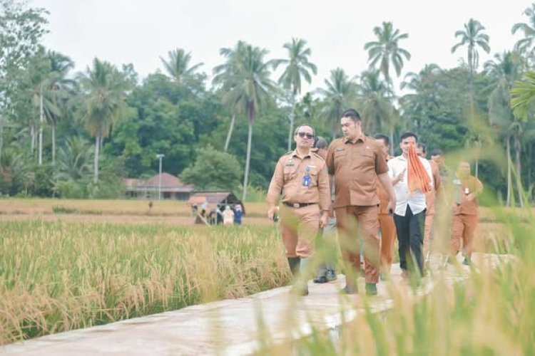Modernisasi Pertanian Padangsidimpuan Dongkrak Hasil Petani Lokal