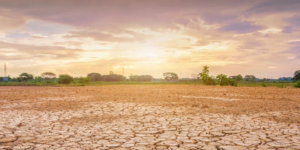 BMKG Prediksi Musim Kemarau Mulai April Puncak Agustus 2026