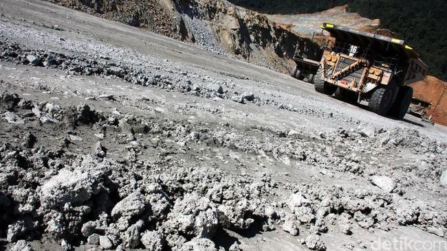 Cadangan Batu Bara Jumbo, BUMI Siap Produksi 30 Tahun