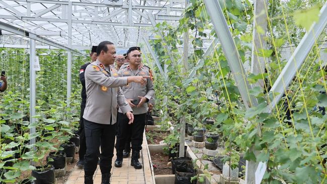 Kapolda Metro Jaya Dukung Ketahanan Pangan Green House