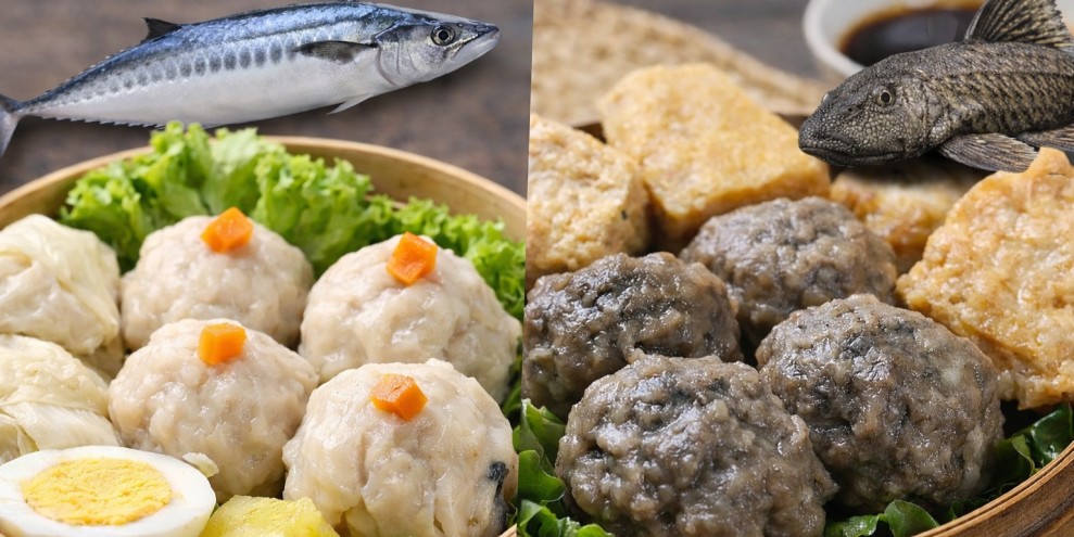 Cara Membedakan Siomay Ikan Sapu-sapu dan Tenggiri Aman