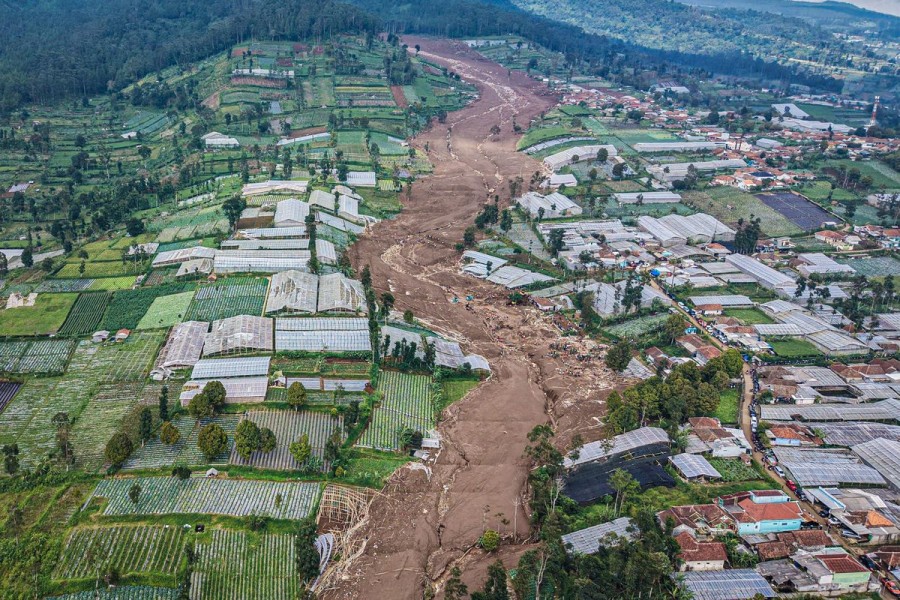 Alih Komoditas Tanaman di Daerah Rawan Longsor, Solusi Bijak