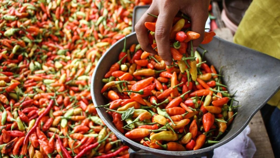 Update Harga Sembako Jawa Timur 24 Desember 2025 Hari Ini Lengkap