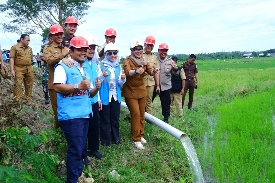 Hemat Biaya, Listrik PLN Tingkatkan Produktivitas Petani Barru