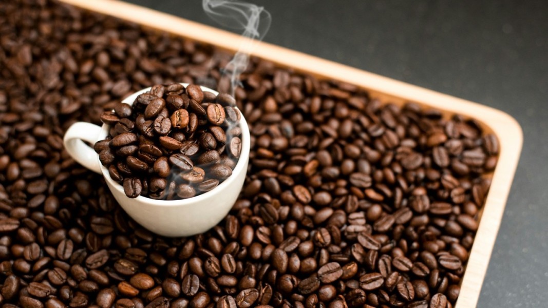 Tips Menyimpan Kopi Biji Agar Aroma dan Rasa Terjaga