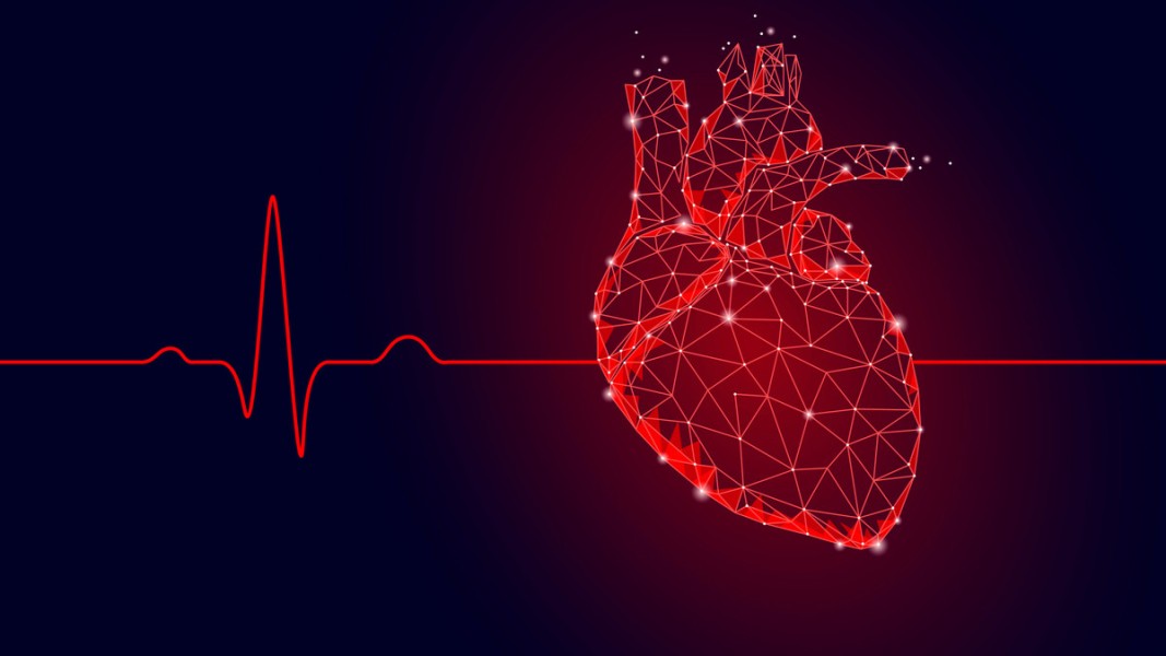 Kebiasaan Pagi Sederhana Efektif Menjaga Kolesterol Tetap Sehat
