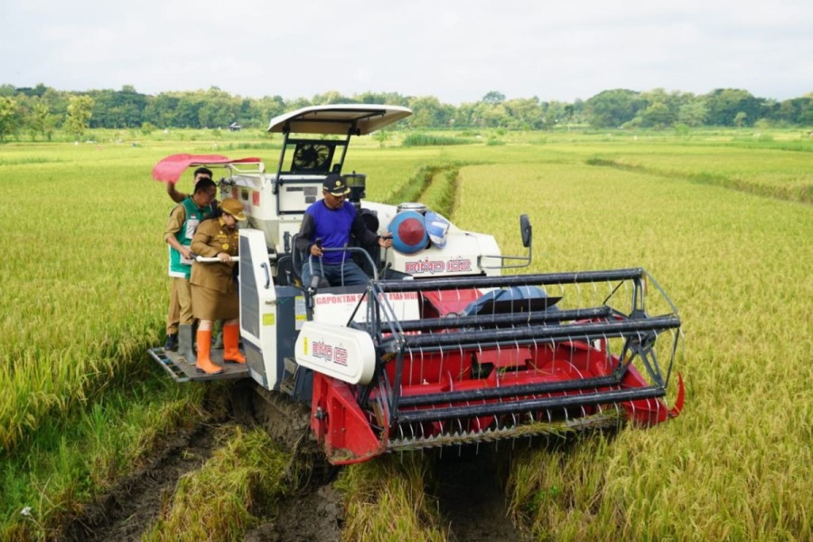 Modernisasi Pertanian Perkuat Gotong Royong Petani Di Kabupaten Gunungkidul Yogyakarta