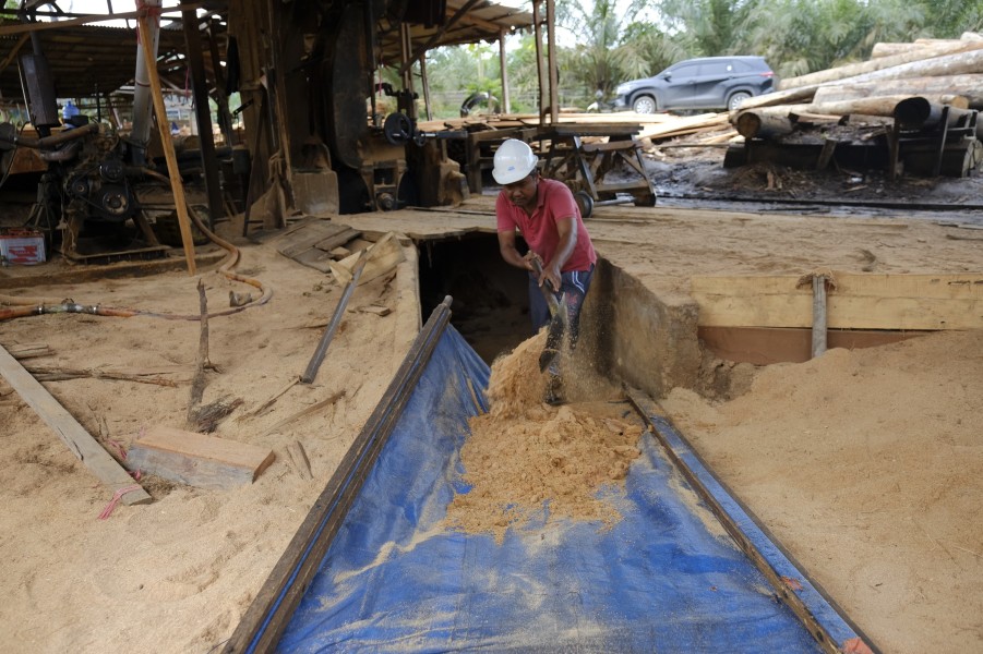 Cofiring PLN Indonesia Power di PLTU Jeranjang: Mengurangi Emisi dan Meningkatkan Kesejahteraan Masyarakat