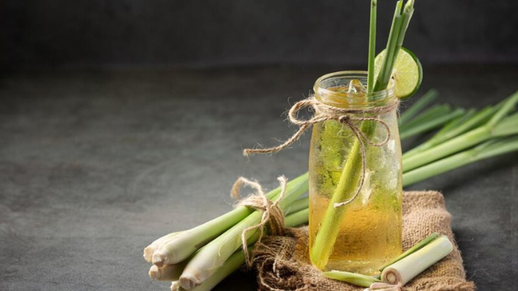 Rahasia Minuman Serai dan Jeruk Nipis untuk Tingkatkan Imunitas dan Redakan Batuk