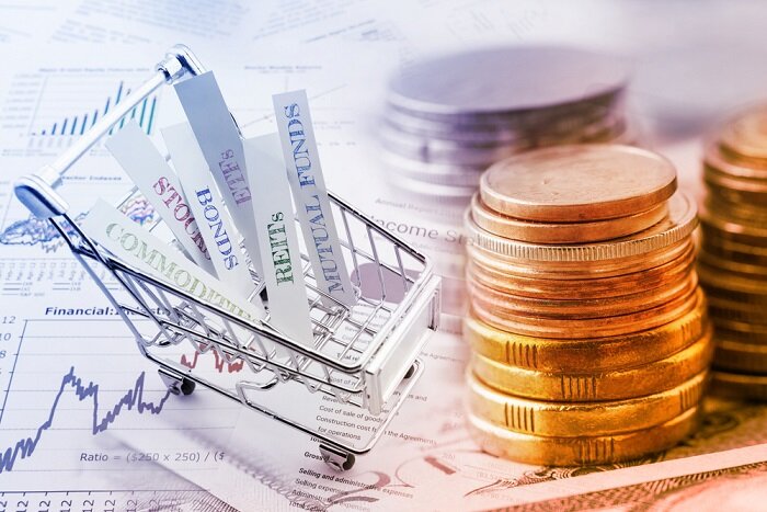 Tantangan dan Peluang Investasi Energi Terbarukan di Indonesia Menuju Net Zero Emission 2060