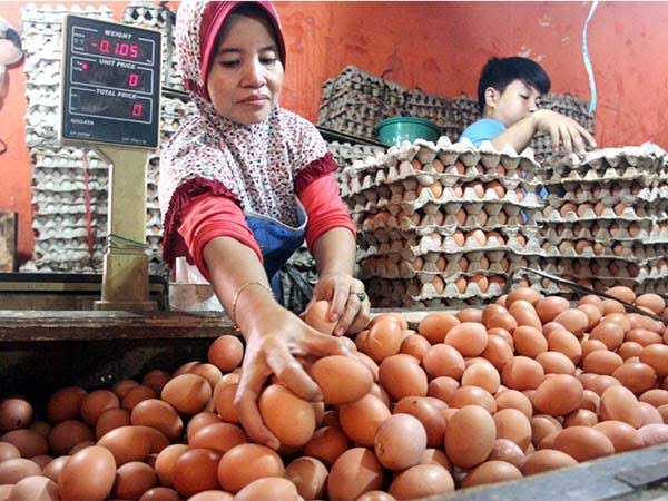 Harga Telur dan Daging Ayam Terus Naik, Cek Harga Pangan Terbaru 21 Oktober 2025