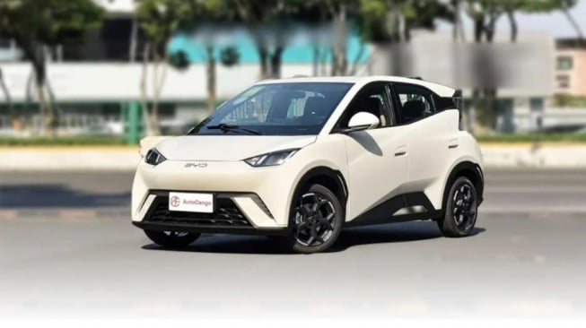 Mobil Listrik Terjangkau Indonesia Kini Punya Banyak Pilihan Menarik