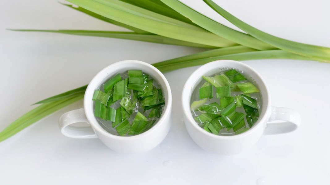 Manfaat Rebusan Air Daun Pandan untuk Kesehatan Tubuh Sehari Hari Alami Tradisional