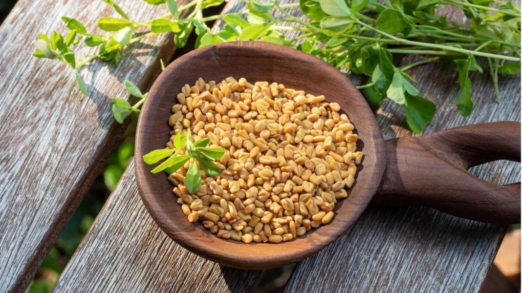 10 Penekan Nafsu Makan Alami yang Efektif Bantu Turunkan Berat Badan