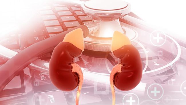 Gejala Gagal Ginjal yang Sering Disangka Maag, Waspadai Tandanya