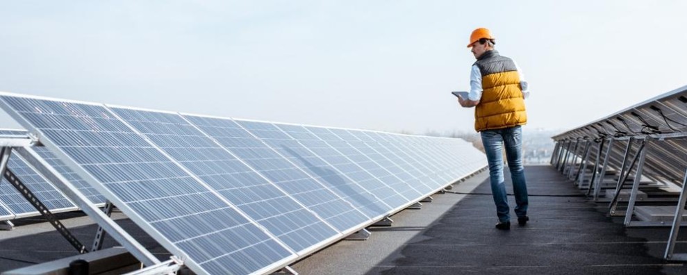 Menyongsong Masa Depan Hijau: Peluang dan Tantangan Green Jobs di Transisi Energi Indonesia