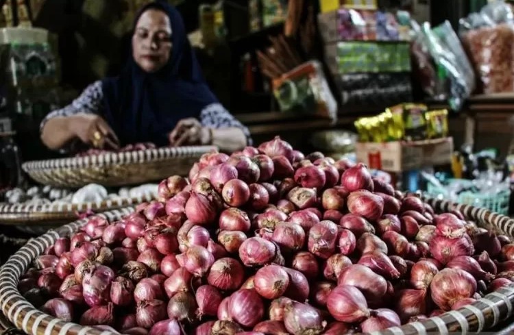 Update Harga Pangan 18 November 2025: Bawang Merah dan Cabai Rawit Masih Tinggi