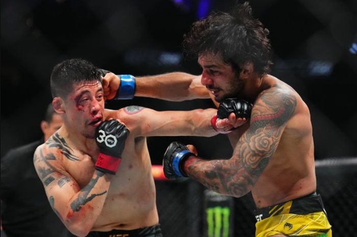 Rekap Hasil UFC Mexico City Brandon Moreno Tumbang Di Hadapan Publik Sendiri 2026