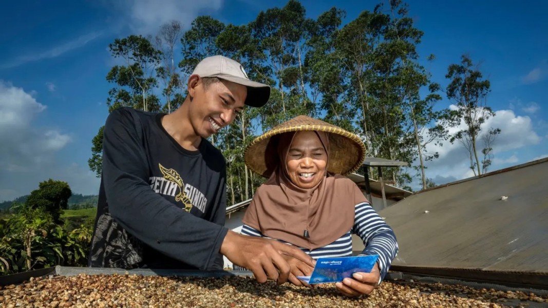 BRI Dorong Pertumbuhan Ekonomi Lewat Penyaluran KUR Produktif