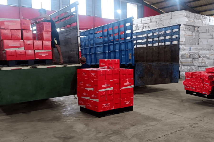 Kemensos Gerak Cepat Salurkan Bantuan Logistik untuk Korban Gempa Bumi Bengkulu