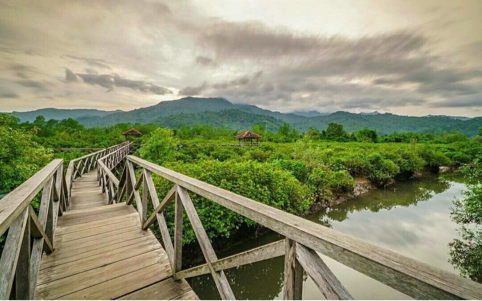 Piihan 3 Destinasi Wisata Alam Trenggalek: Goa, Mangrove, Pantai Menawan