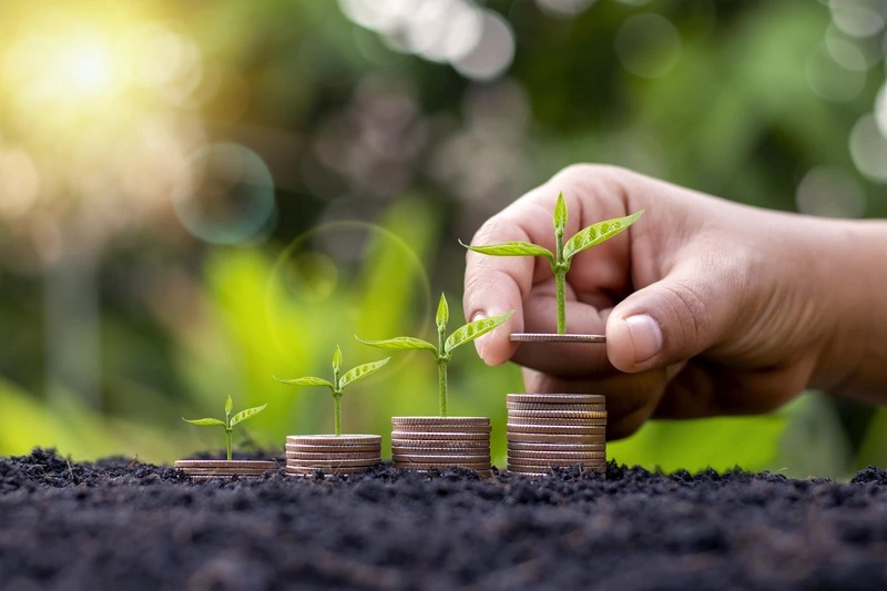 Strategi Cerdas Investasi Untuk Masa Depan Aman